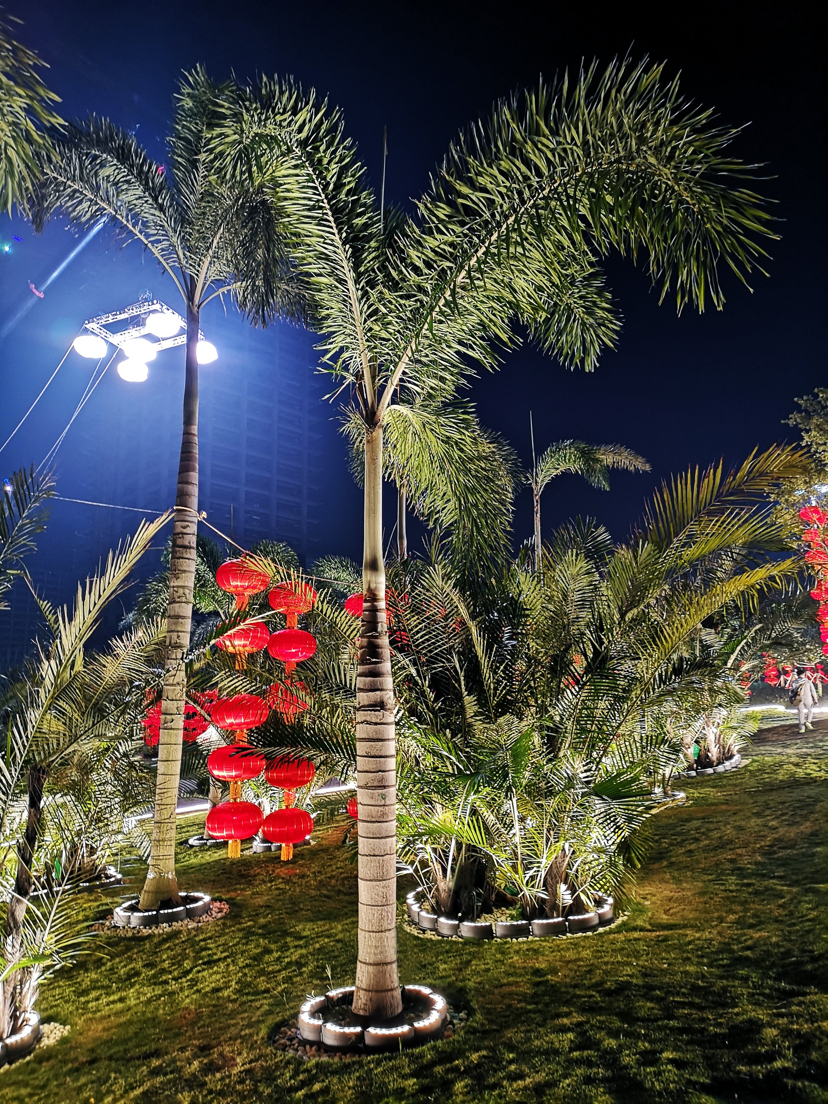 How Tree Lighting Transformed Qianhaiwan Coastal Park: A Warm Amber Glow Case Study