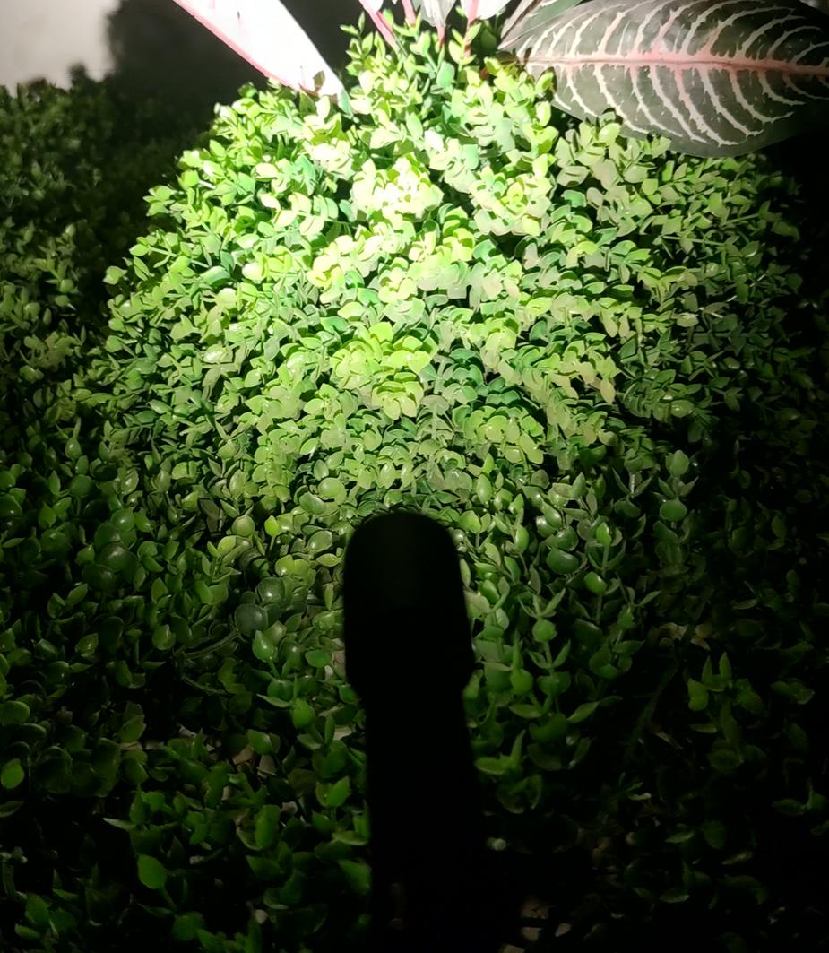 Outdoor Spotlight (HL-DCD100-3)