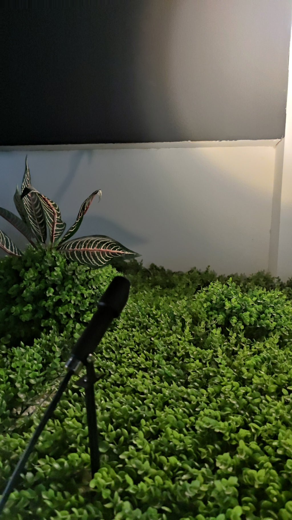 Outdoor Spotlight (HL-DCD-70-3)