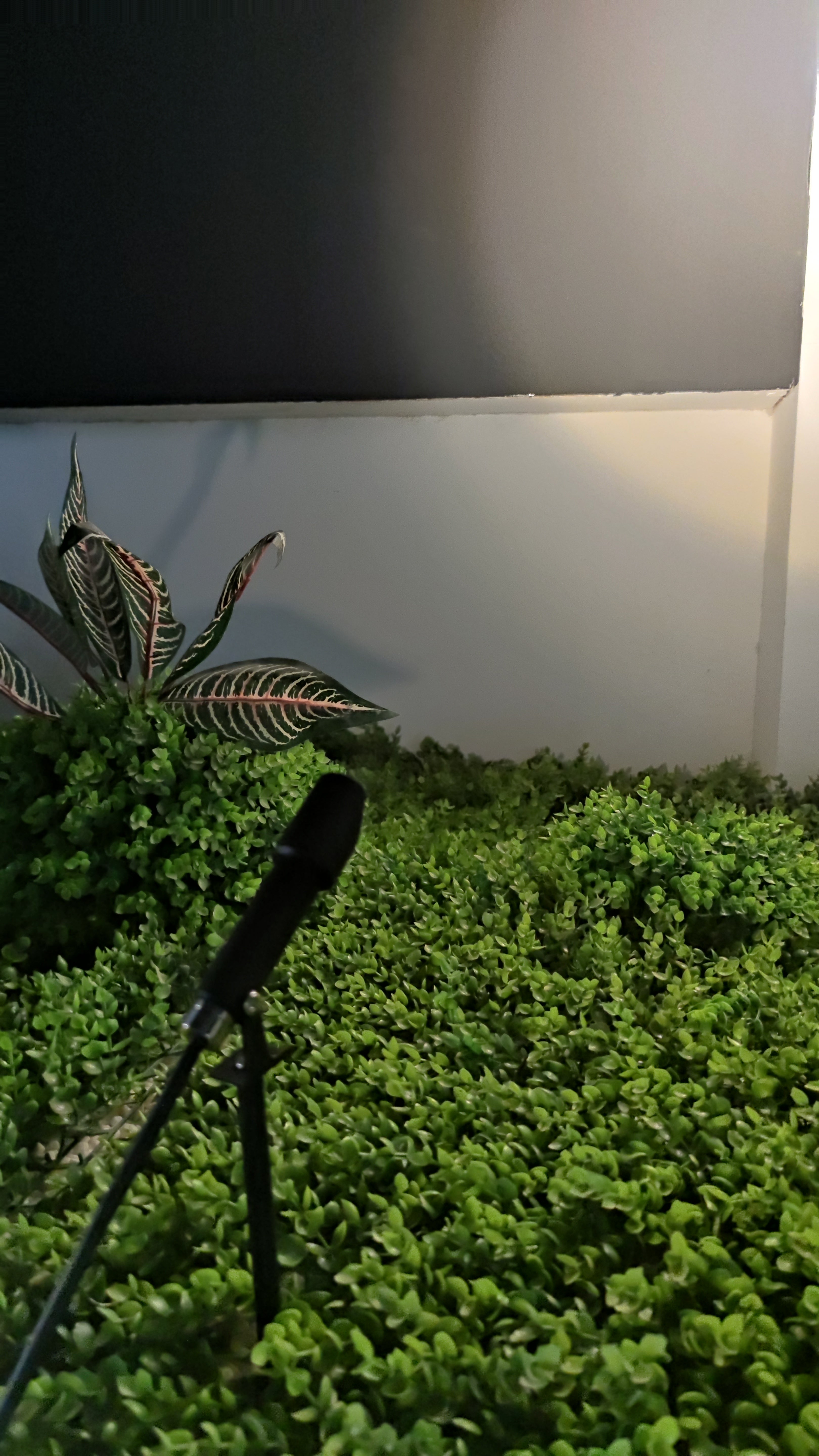 Outdoor Spotlight (HL-DCD-70-3)