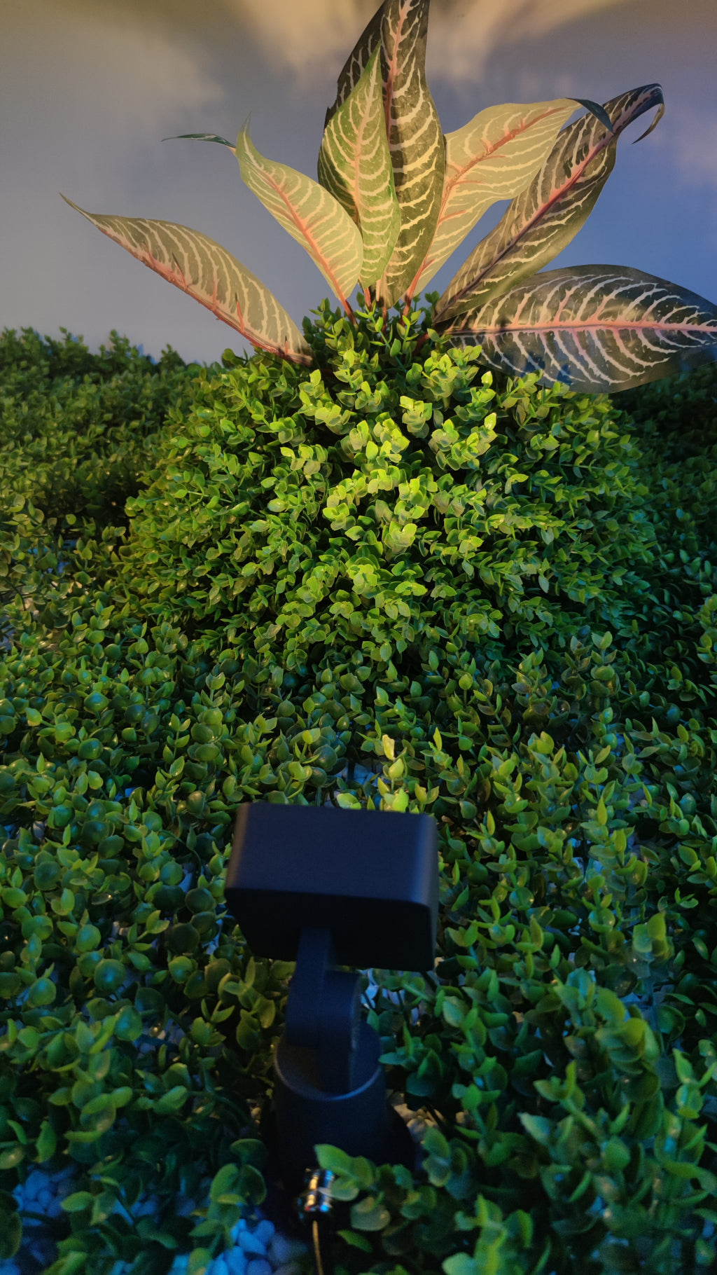 Outdoor Spotlight (HL-TGD704-8)